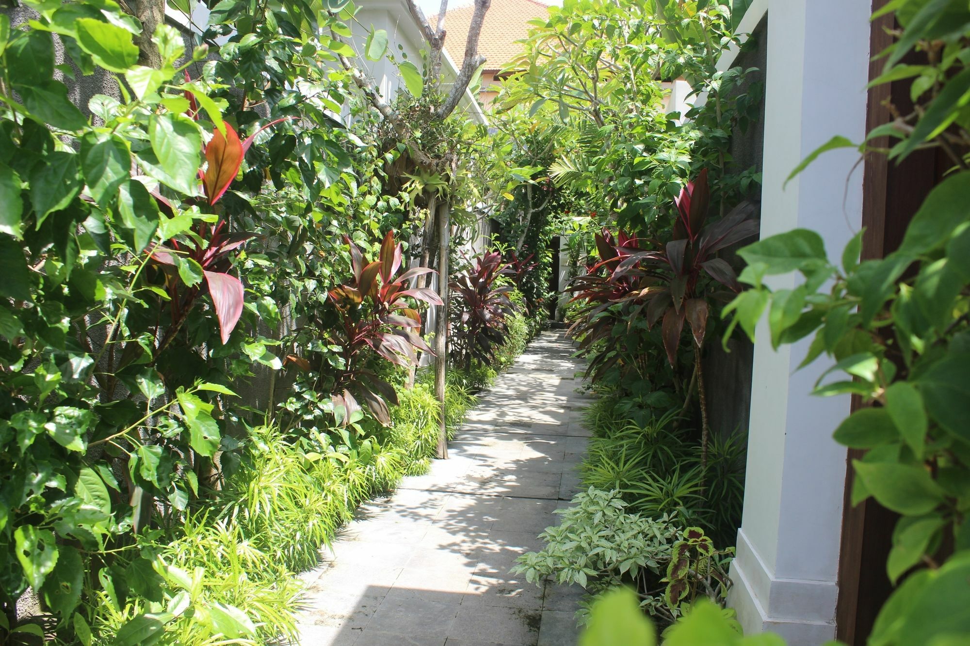 Amelle Villas & Residences Canggu Exterior foto